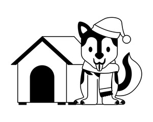 dog merry christmas card