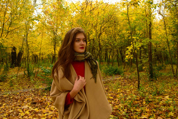 Portrait of a young girl in a coat on a background of autumn plants in the Park.