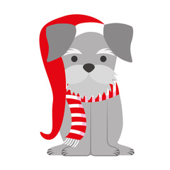 dog merry christmas card