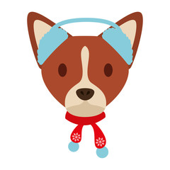 dog merry christmas card