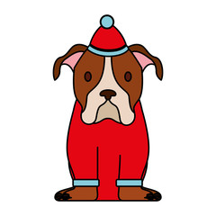 dog merry christmas card