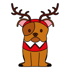 dog merry christmas card