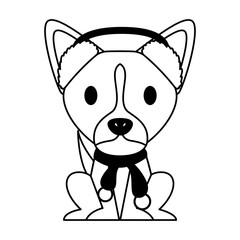 dog merry christmas card