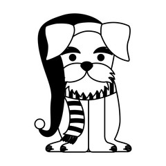 dog merry christmas card