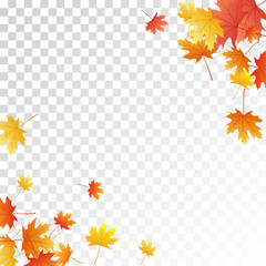 Naklejka na ściany i meble Maple leaves vector illustration