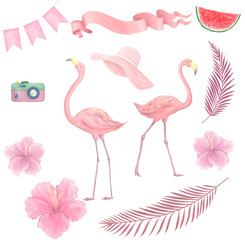 Hand drawn watercolor tropical birds set of flamingo. Exotic rose bird illustrations, jungle tree, brazil trendy art. Perfect for fabric design. White background