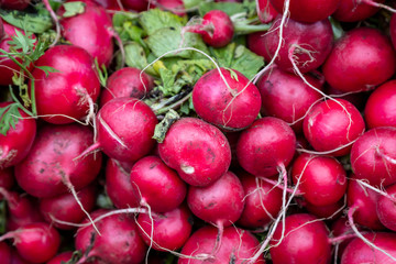 A Full Frame Photograph of Radishes on a Market Stall