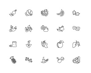 Collection of 20 fruits linear icons such as Potatoes, Peanut, T