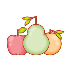 fresh pear with apple and orange fruits