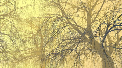 Fototapeta premium Threes without leaves in fog or mist lit by bright orange sun god rays . 3d illustration. Travel and camping concept