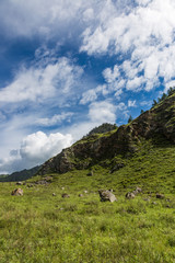 Mountain landscape in the valley of the confluence of the Katun and Maly Yaloman rivers, Altai,...