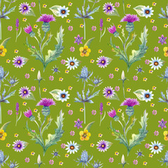 Wild flowers background. Seamless pattern. Wild flowers background Watercolor.