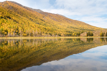 autumn mountain forest and reflection