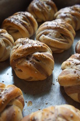 cocoa rolls