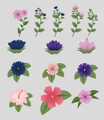 Fototapete Tropische Pflanzen Set Blumen Pflanzen mit Blättern Natur Design