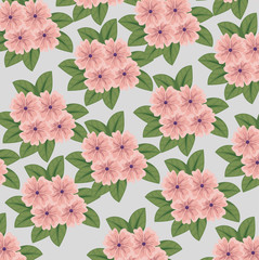 cute flowers plants with leaves style background
