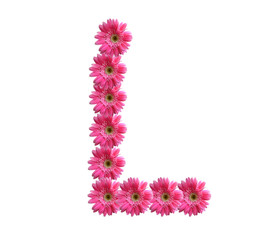 English alphabet from pink chrysanthemum