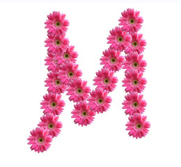 English alphabet from pink chrysanthemum