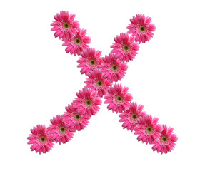 English alphabet from pink chrysanthemum