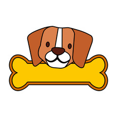 cute beagle dog and bone