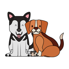 beagle and siberian dogs pet