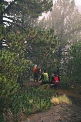 young people hiking in the forest