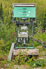 Old Fuels Pump Skeleton