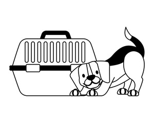 beagle dog and pet cage