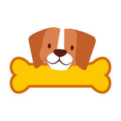 cute beagle dog and bone
