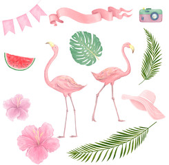 Hand drawn watercolor tropical birds set of flamingo. Exotic rose bird illustrations, jungle tree, brazil trendy art. Perfect for fabric design. White background