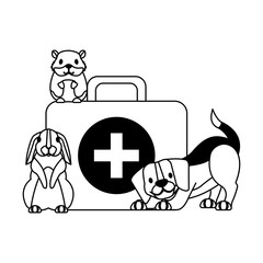veterinary clinic petcare