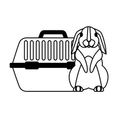 cute rabbit and pet cage