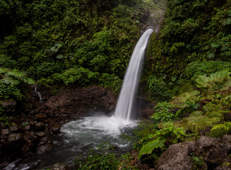 Obraz premium Waterfall in Costa Rica 