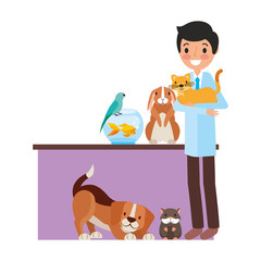 veterinary clinic petcare