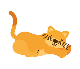 cat cartoon on white background