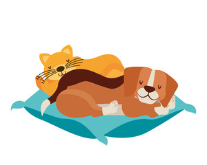dog and cat pets on cushion