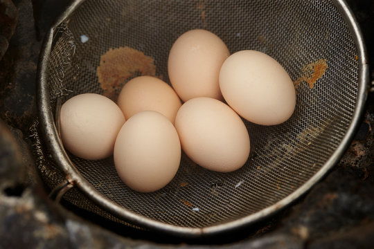 Light brown eggs