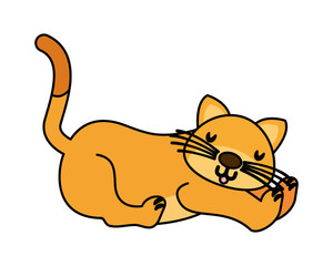 cat cartoon on white background