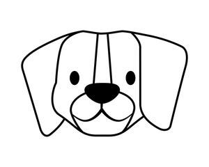 beagle dog pet on white background