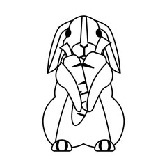 cute rabbit on white background