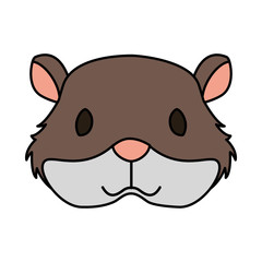 hamster rodent on white background