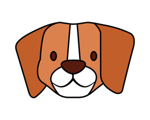 beagle dog pet on white background