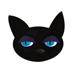 black cat on white background