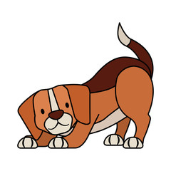 beagle dog pet on white background