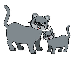 cats pet on white background