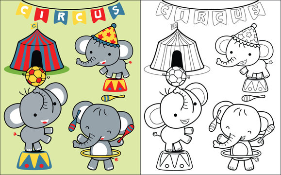 Coloring Book Vector With Elephant On Circus Show