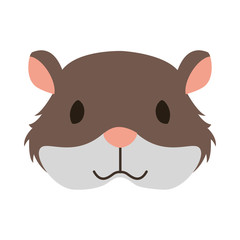 hamster rodent on white background
