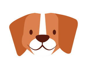 beagle dog pet on white background
