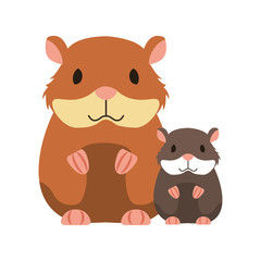 Fototapeta premium hamsters rodent on white background