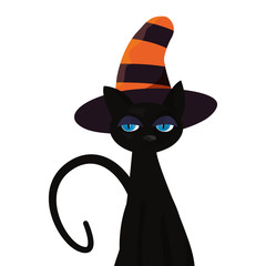 black cat halloween and witch hat